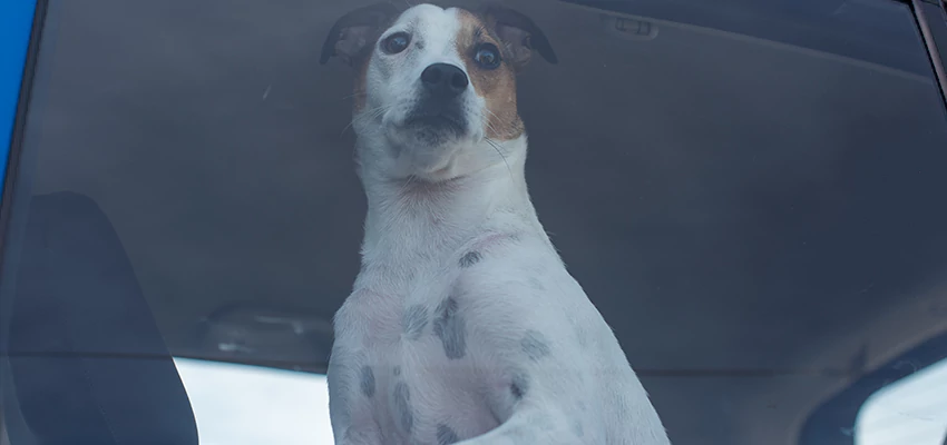 Car Lockout Solutions in Commerce, California